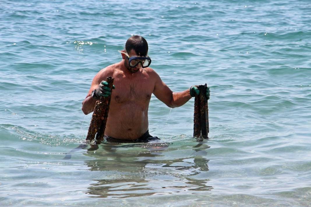 Denizden toplayıp günde 2 bin TL para kazanıyor! Ne balık, ne midye... Sıfır sermaye 2